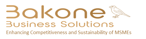 Bakone Business Solutions logo